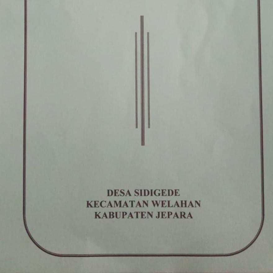 REALISASI ANGGARAN PENDAPATAN DAN BELANJA DESA (APBDes) TAHUN 2024