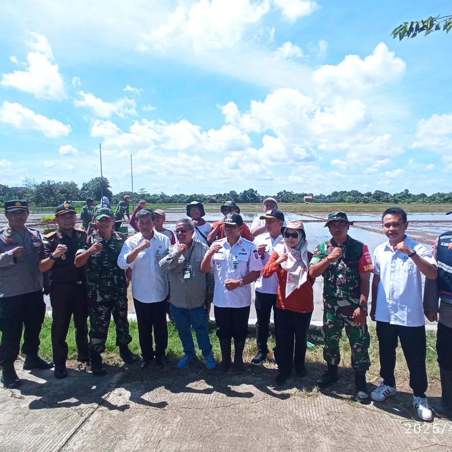 Penanaman Padi Serentak